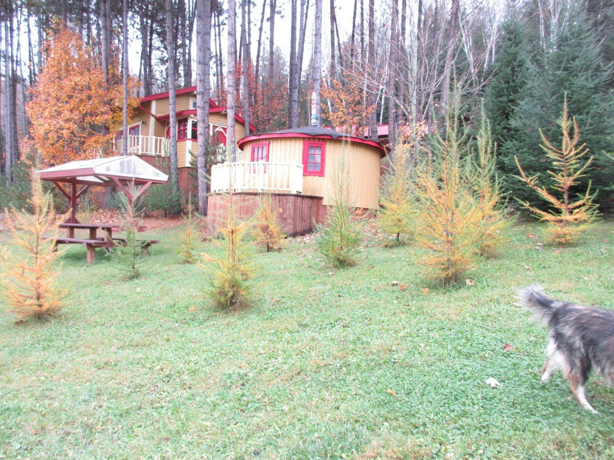 La Maison Sous Les Arbres Saint Roch de Mekinac Eksteriør bilde
