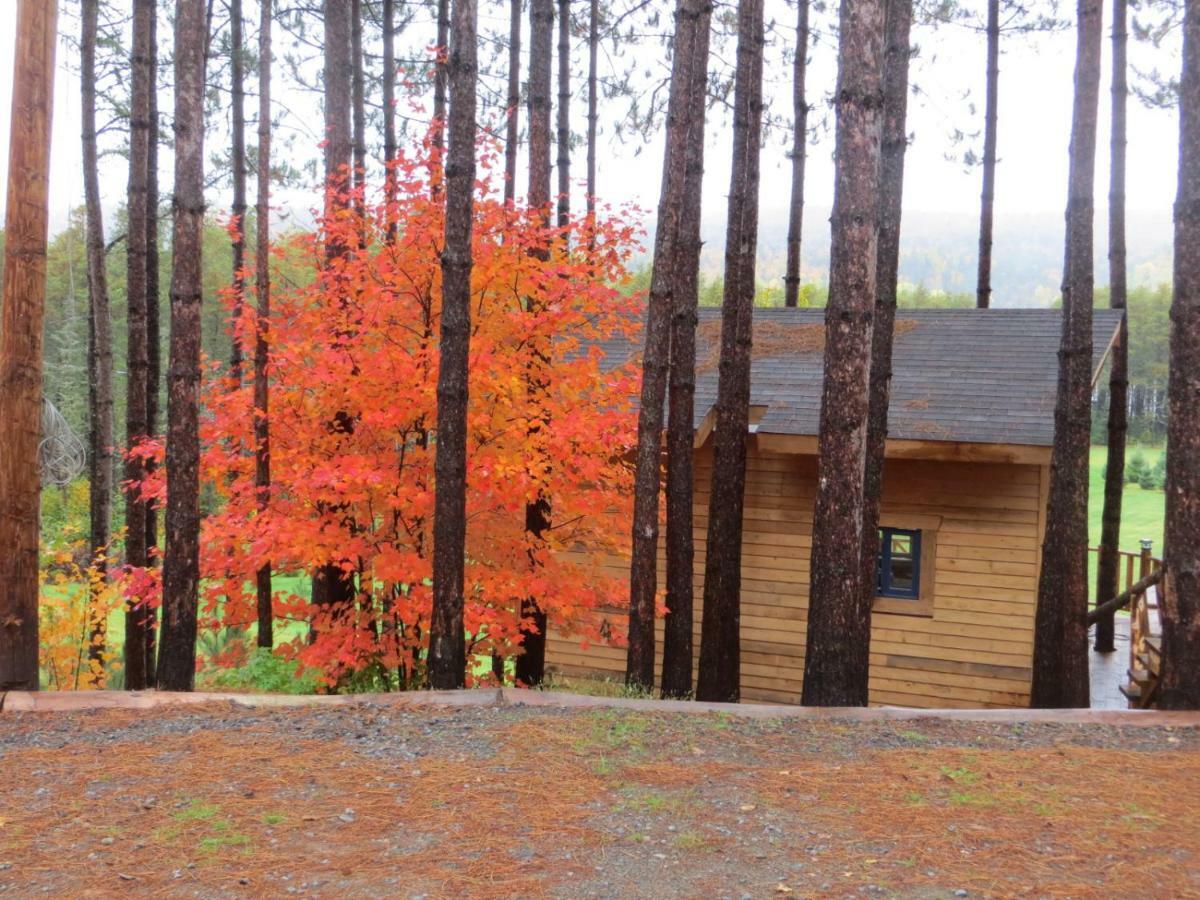 La Maison Sous Les Arbres Saint Roch de Mekinac Eksteriør bilde